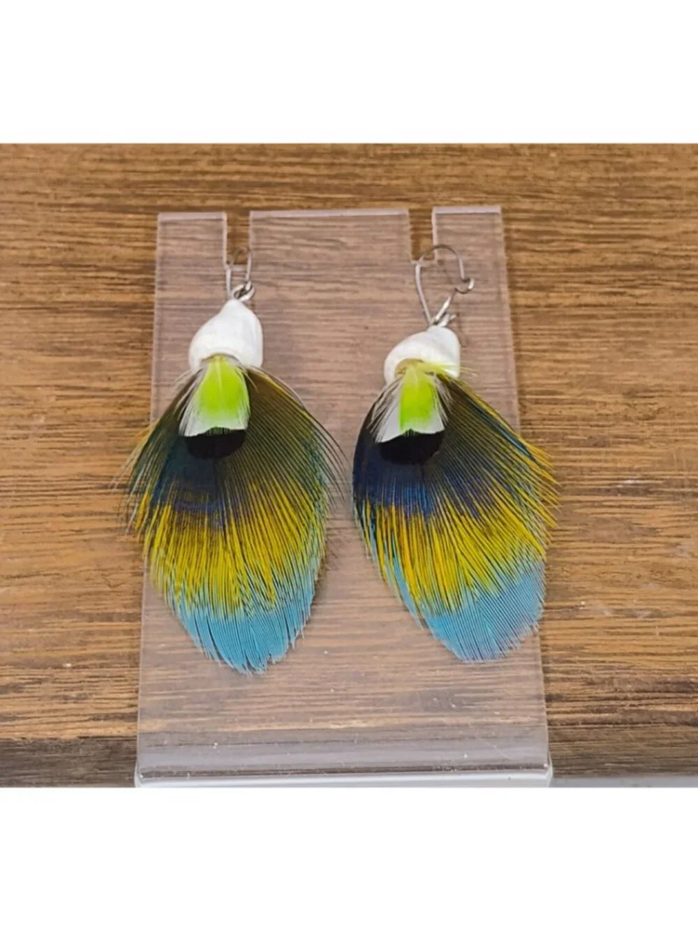 Handmade Real Parrot Feather Sea Shell Dangle Earrings